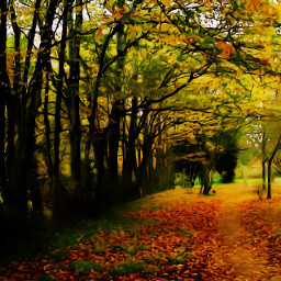 buonpomeriggio monday forest fall autumn