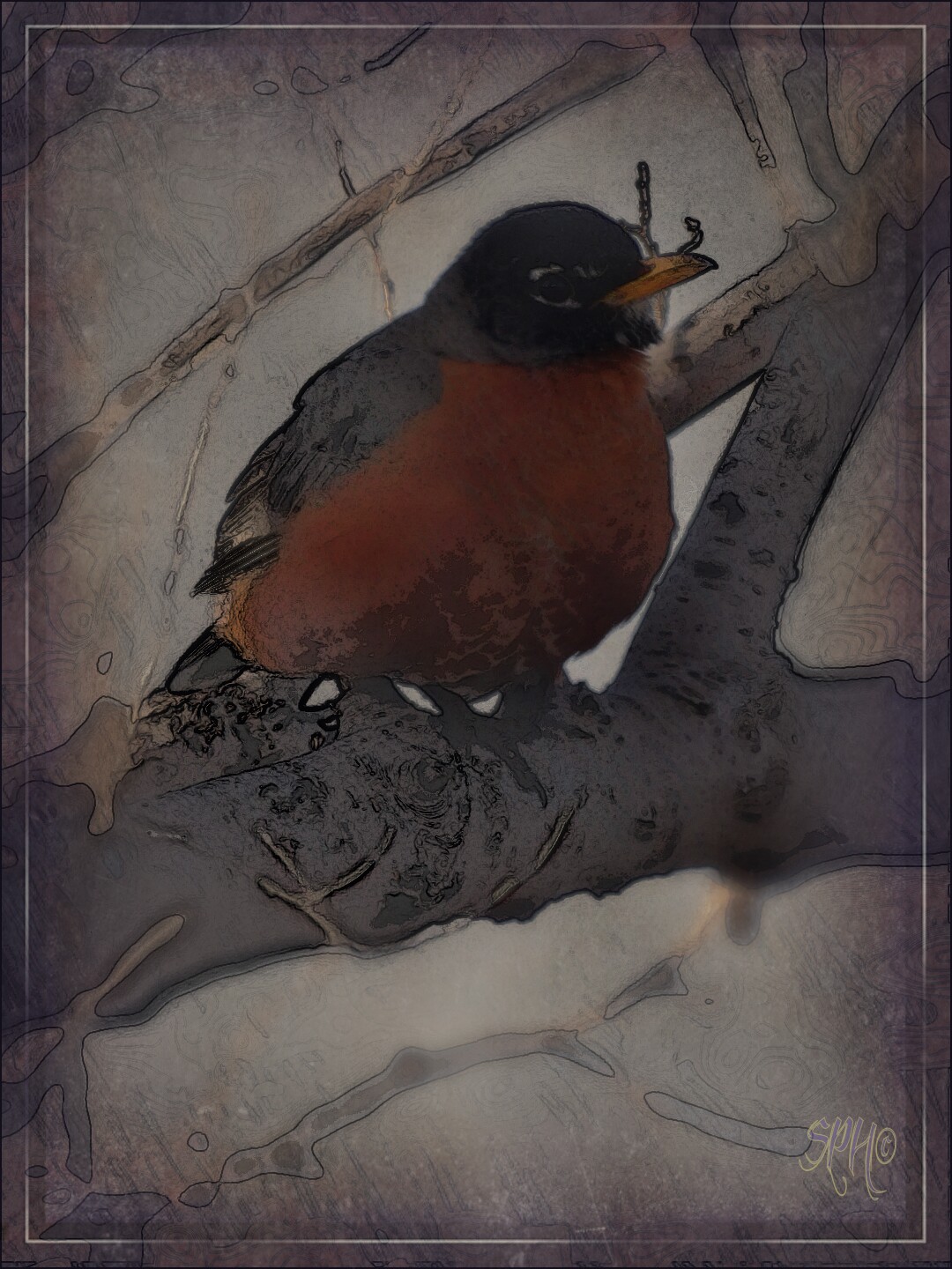 Nature Birds Spring Artistic Ready For Image By Metafantasy