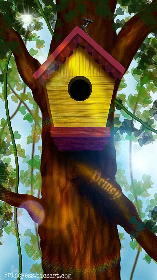 bird house digital drawing